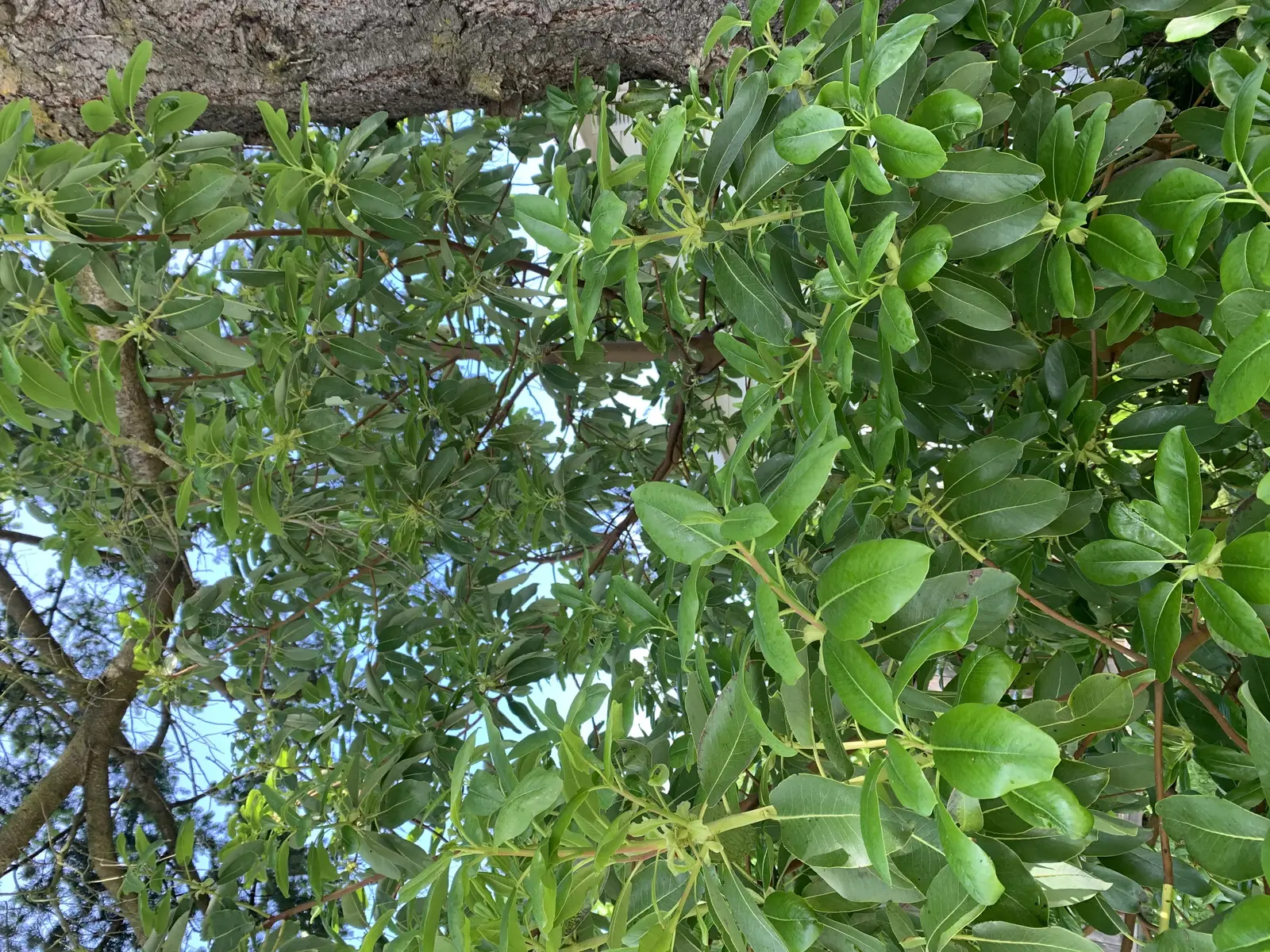 image for 20D5A999-5AFE-43E2-A242-82E1C79EAB57