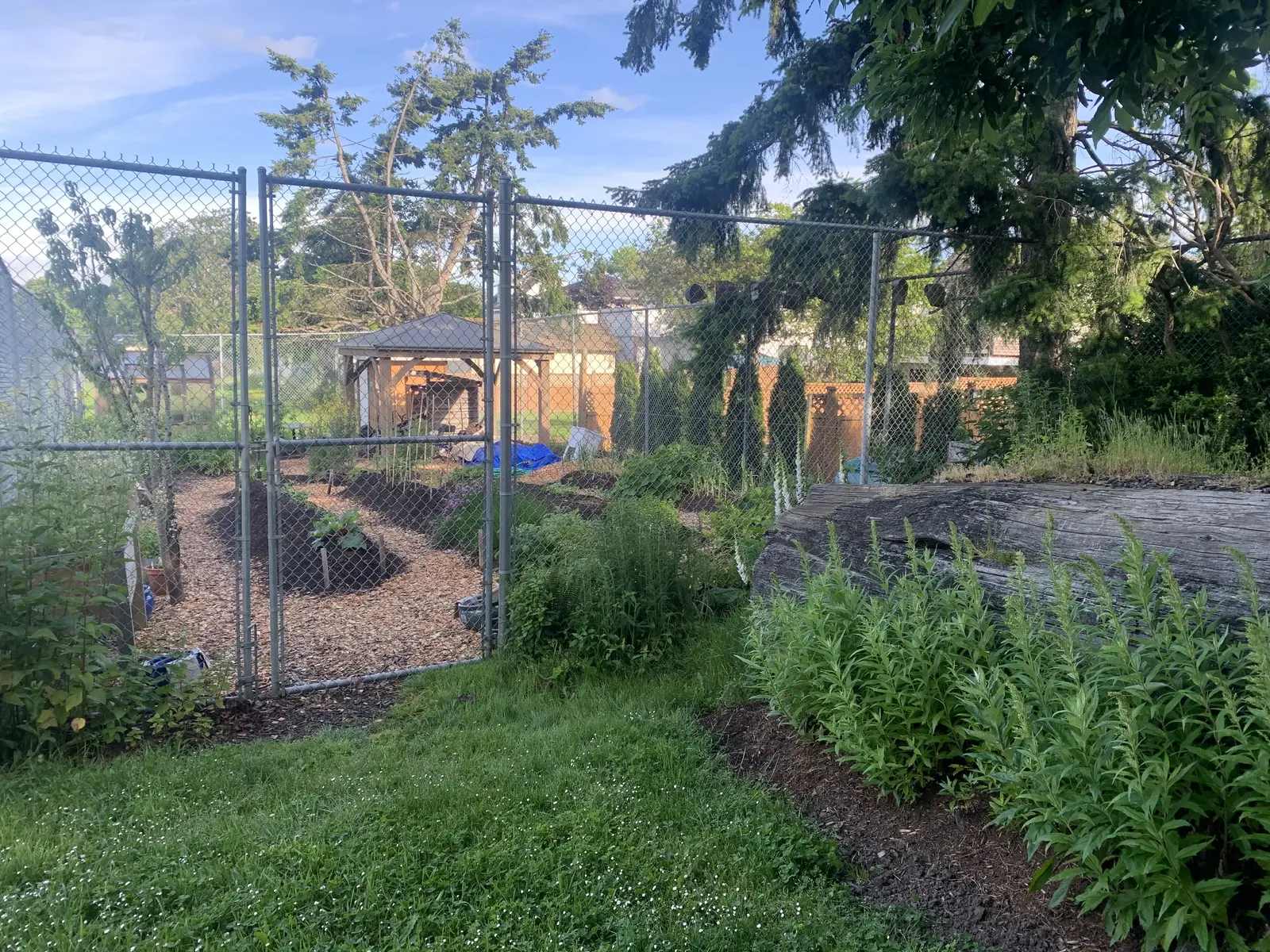 image for DC0CF978-18D9-484A-BAAB-ACA185F19333