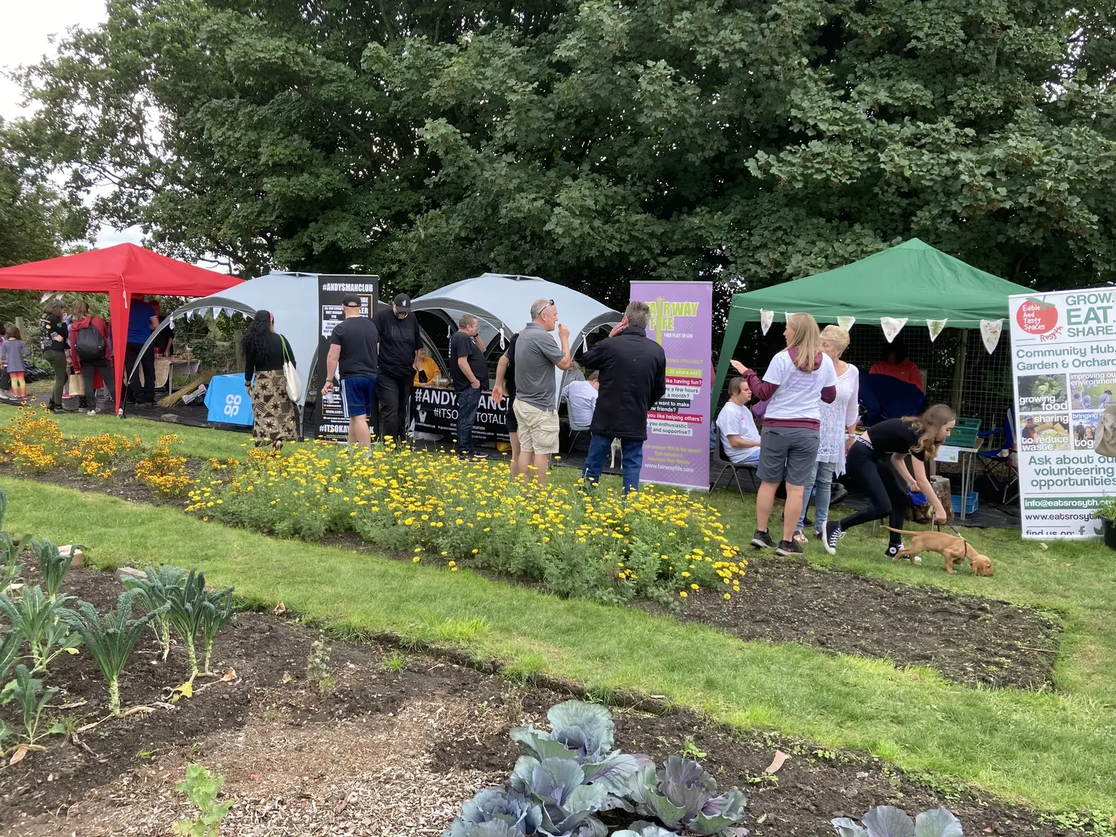 image for 7423DB7A-134D-443B-9BD4-183BAB2922B4