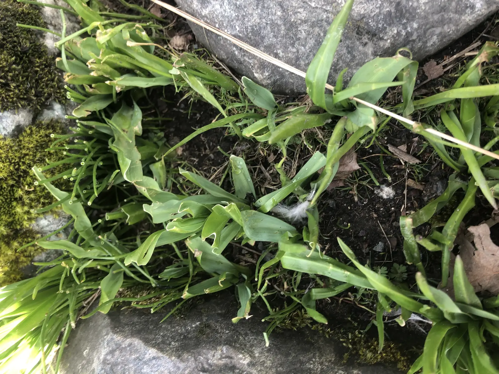 image for 0E8BA581-1FDF-491C-8F36-651917E65C7B