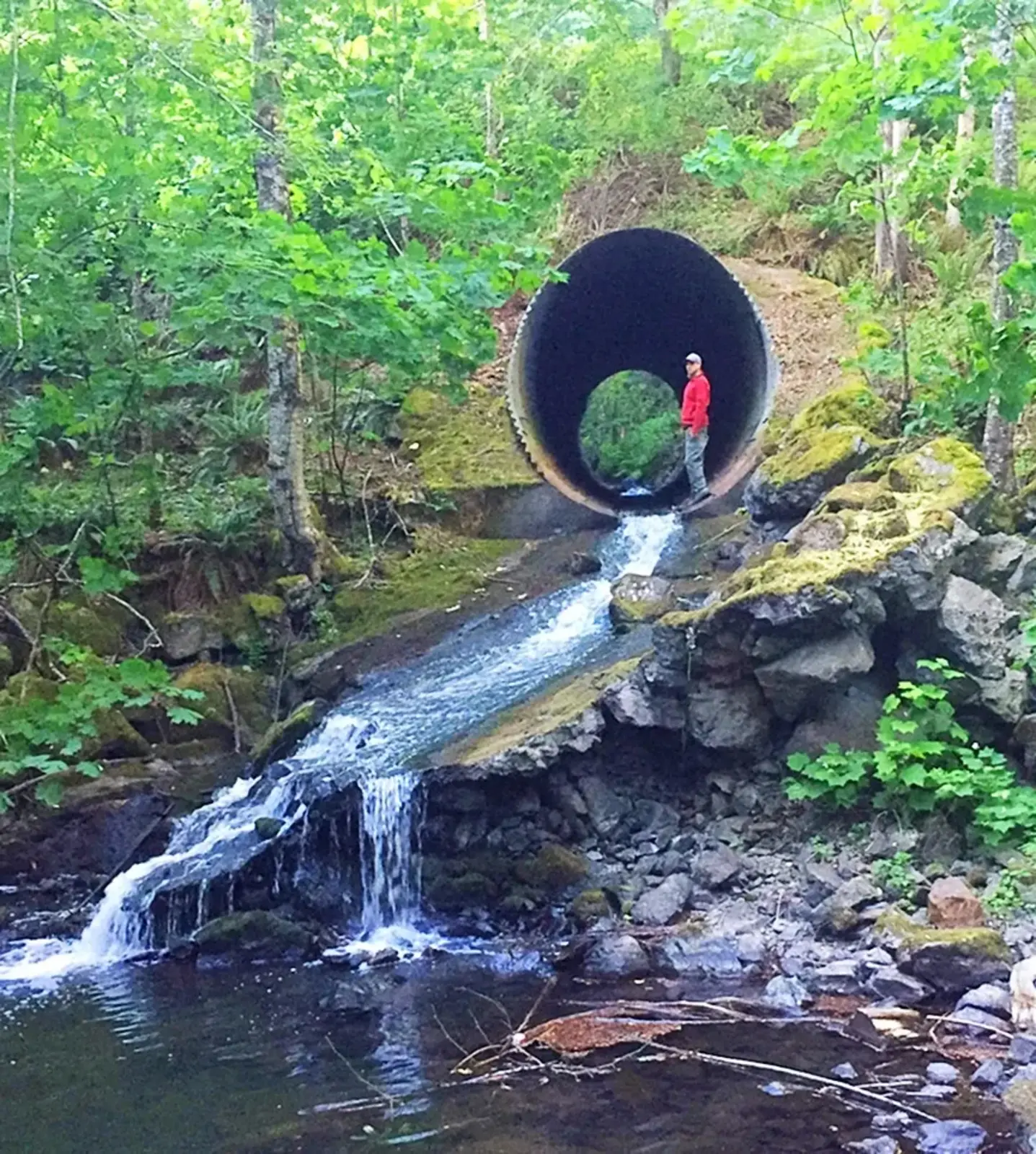 BEFORE - This culvert was inaccessible to salmon