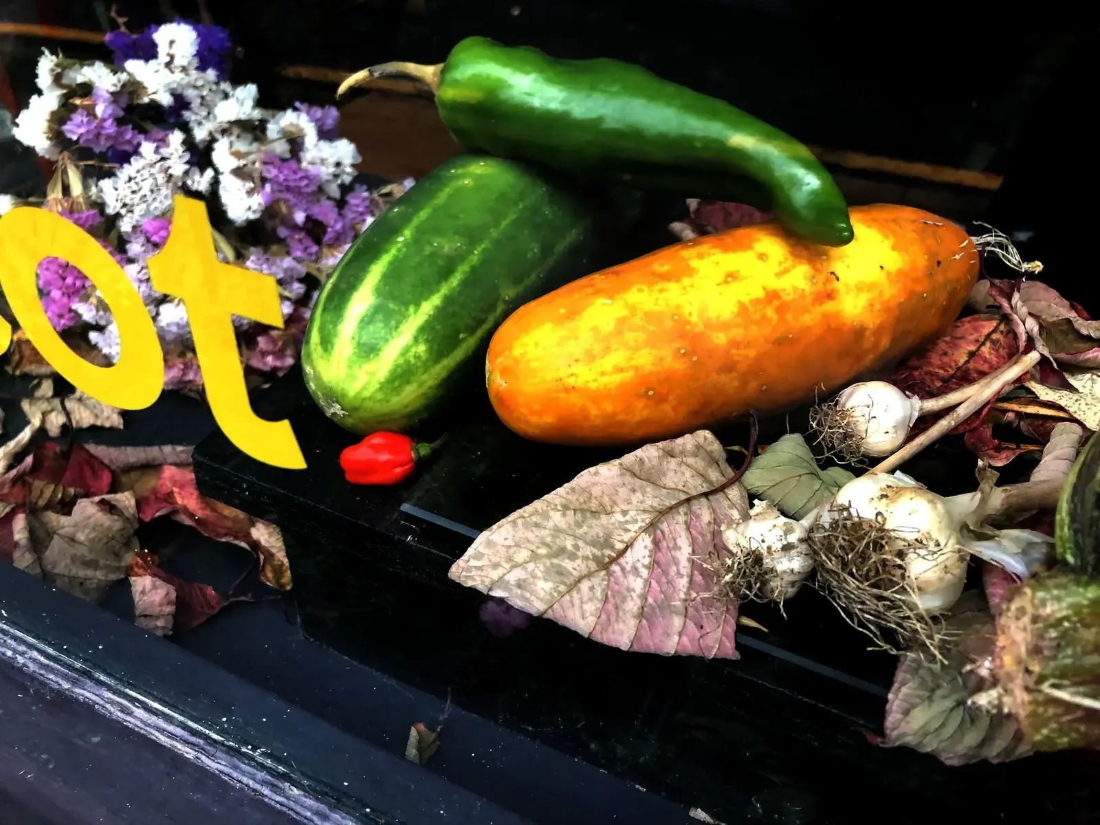Cucumbers, peppers and garlic harvest on display