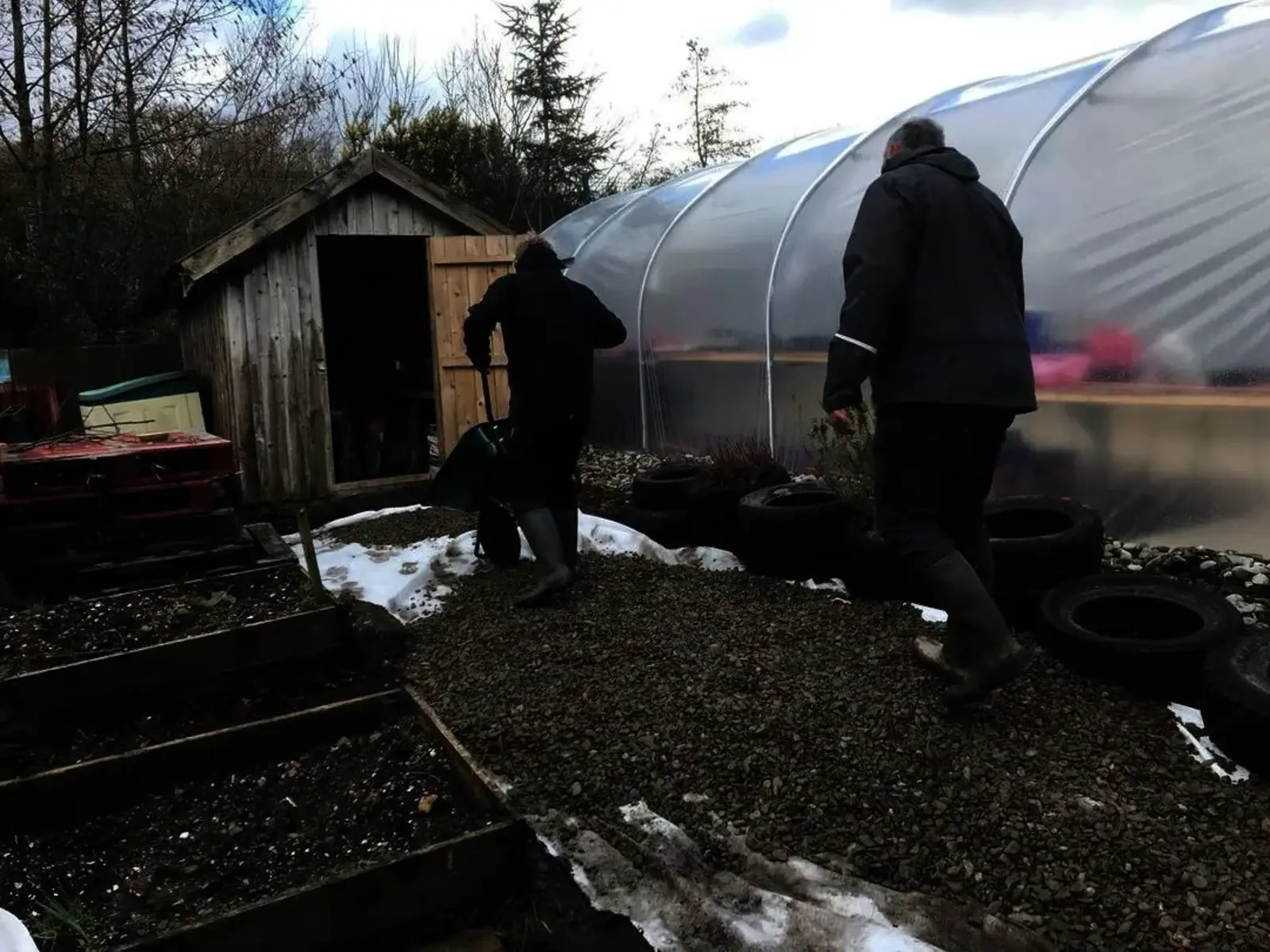 Spreading gravel around the polytunnel