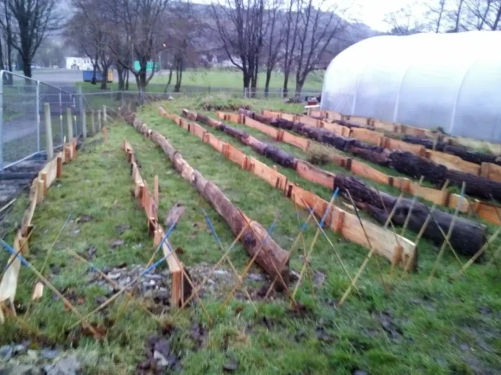 The raised beds during construction