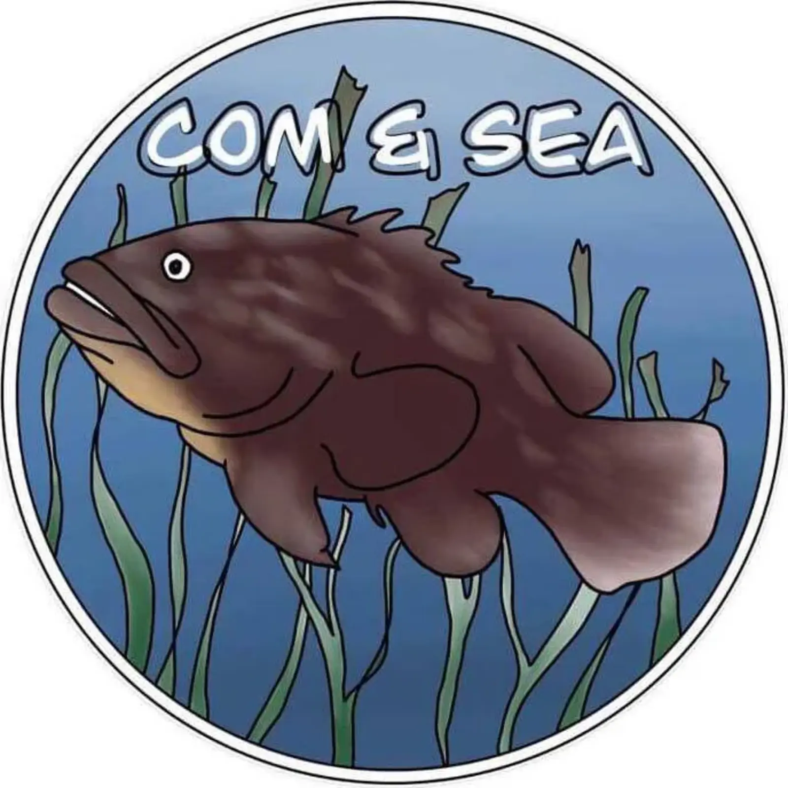 Source : https://www.facebook.com/photo/?fbid=552051086952888&set=a.552051073619556&locale=fr_FR