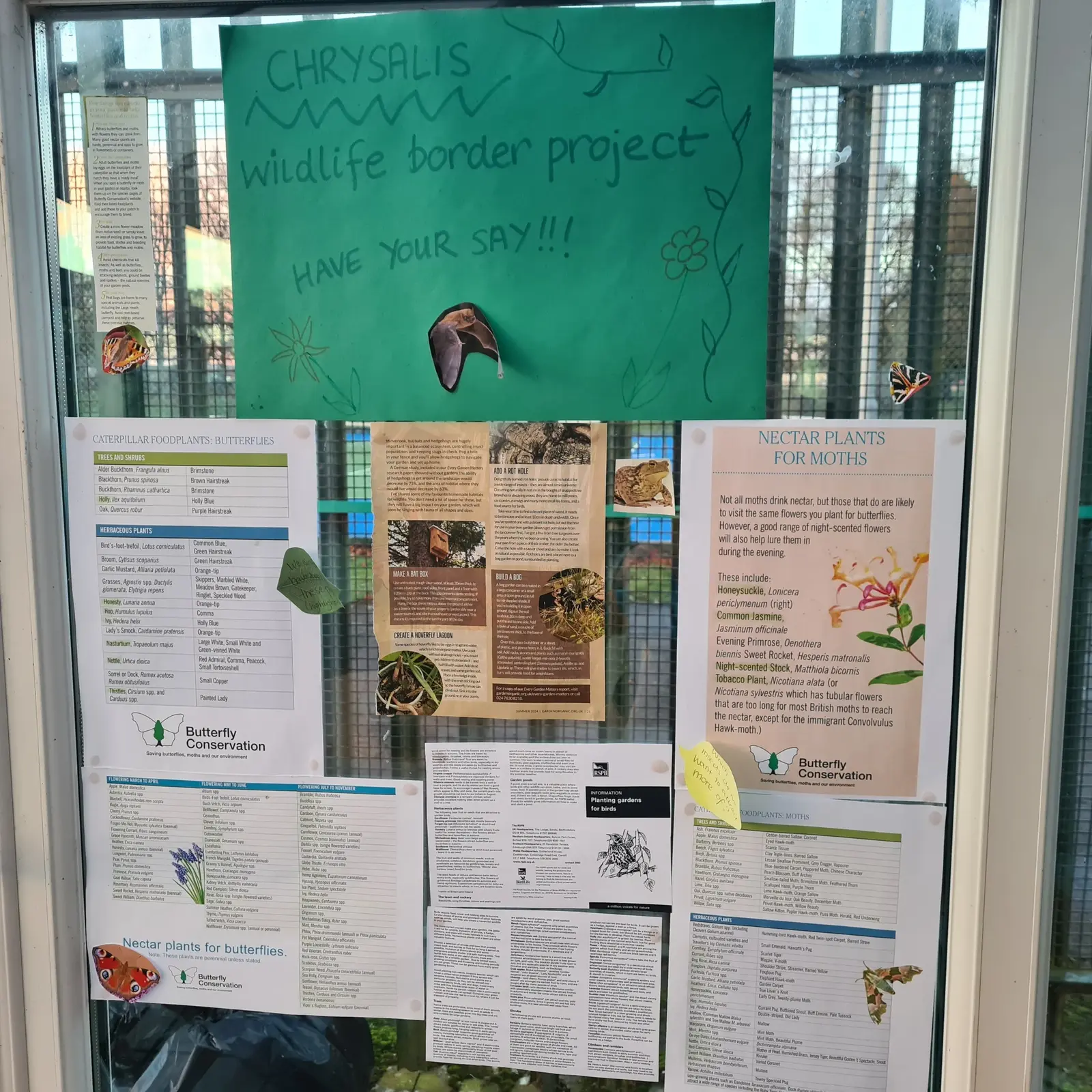 Our planning board, with lists from Butterfly Conservation and RSPB