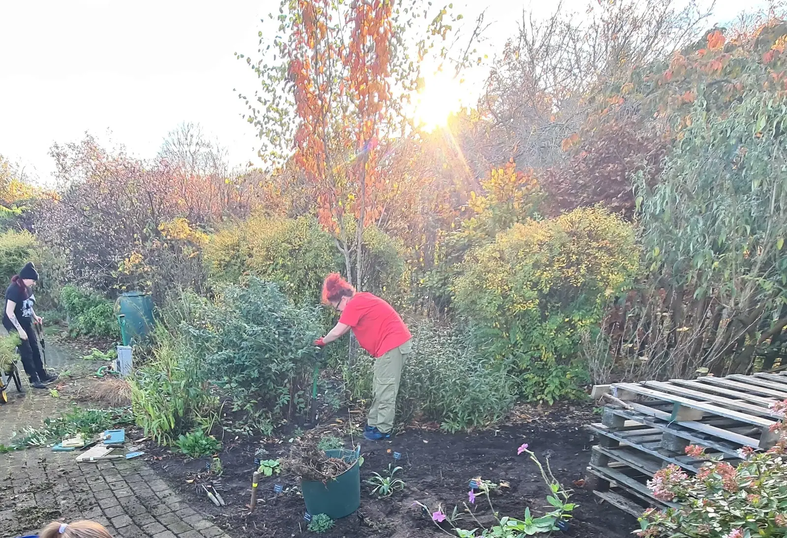 The team clearing the space and planting out new plants amongst the established shrubs.