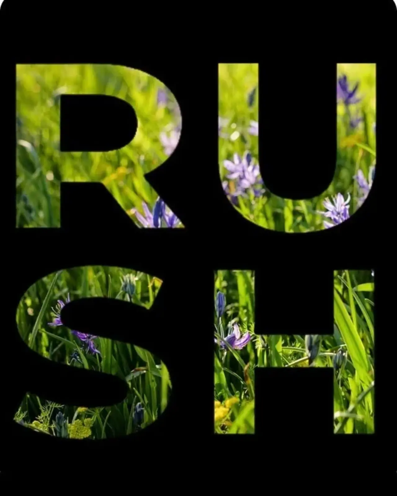 RUSH TEAM | GreenMap.org