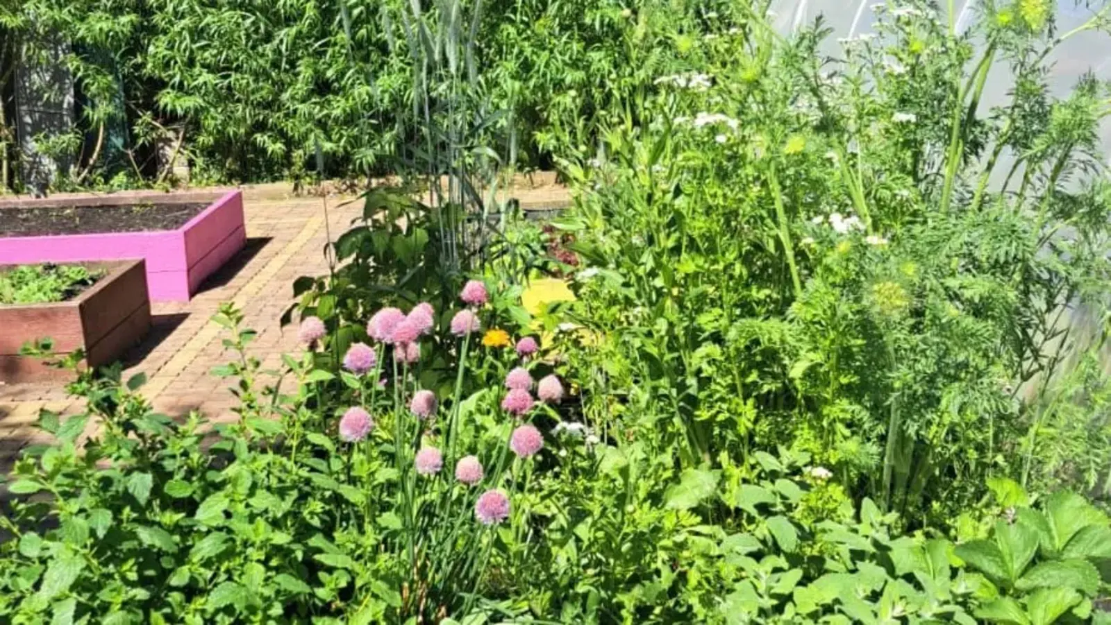 Movement in Thyme - The Secret Herb Garden at Tir Na nOg