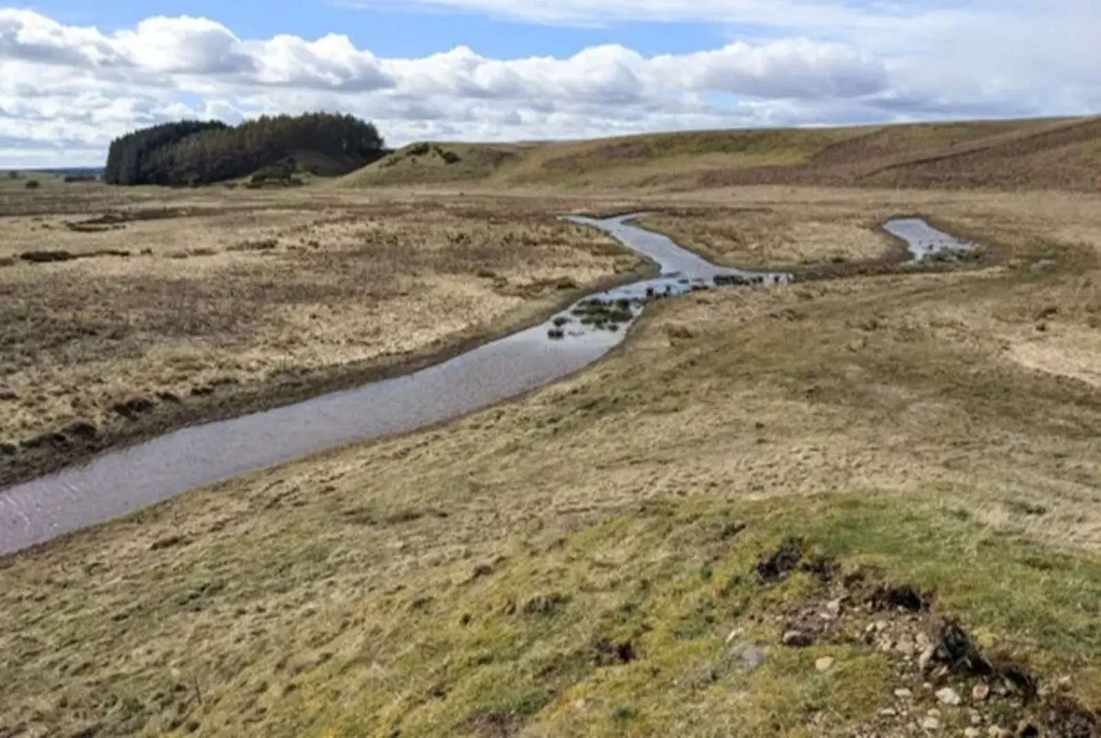 Nature-Based Solutions in Practice on the Allan Water