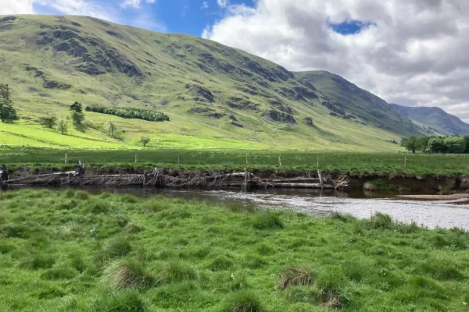 Clova Estate In-Stream Works
