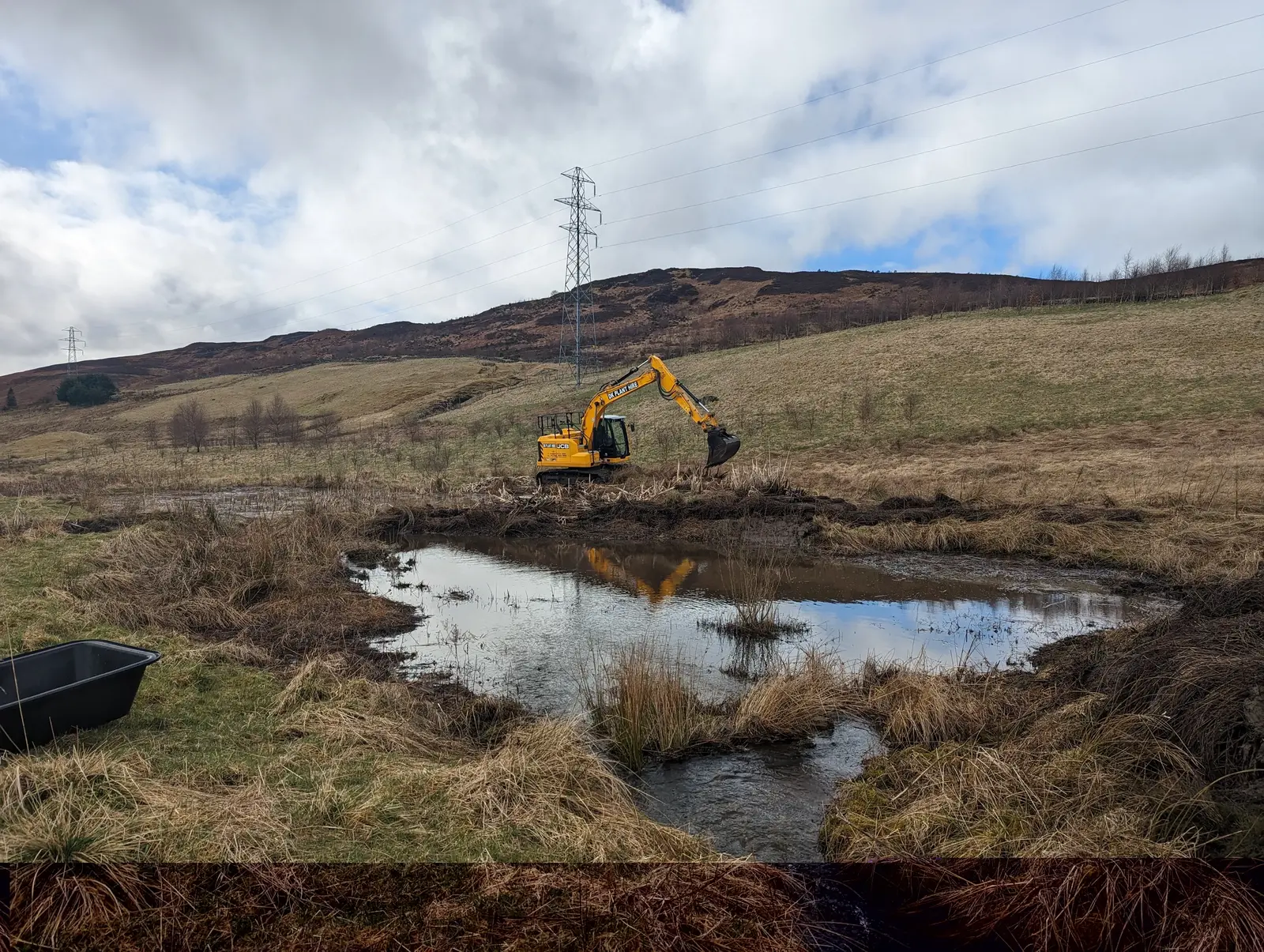 Dun Coillich Wetlands 