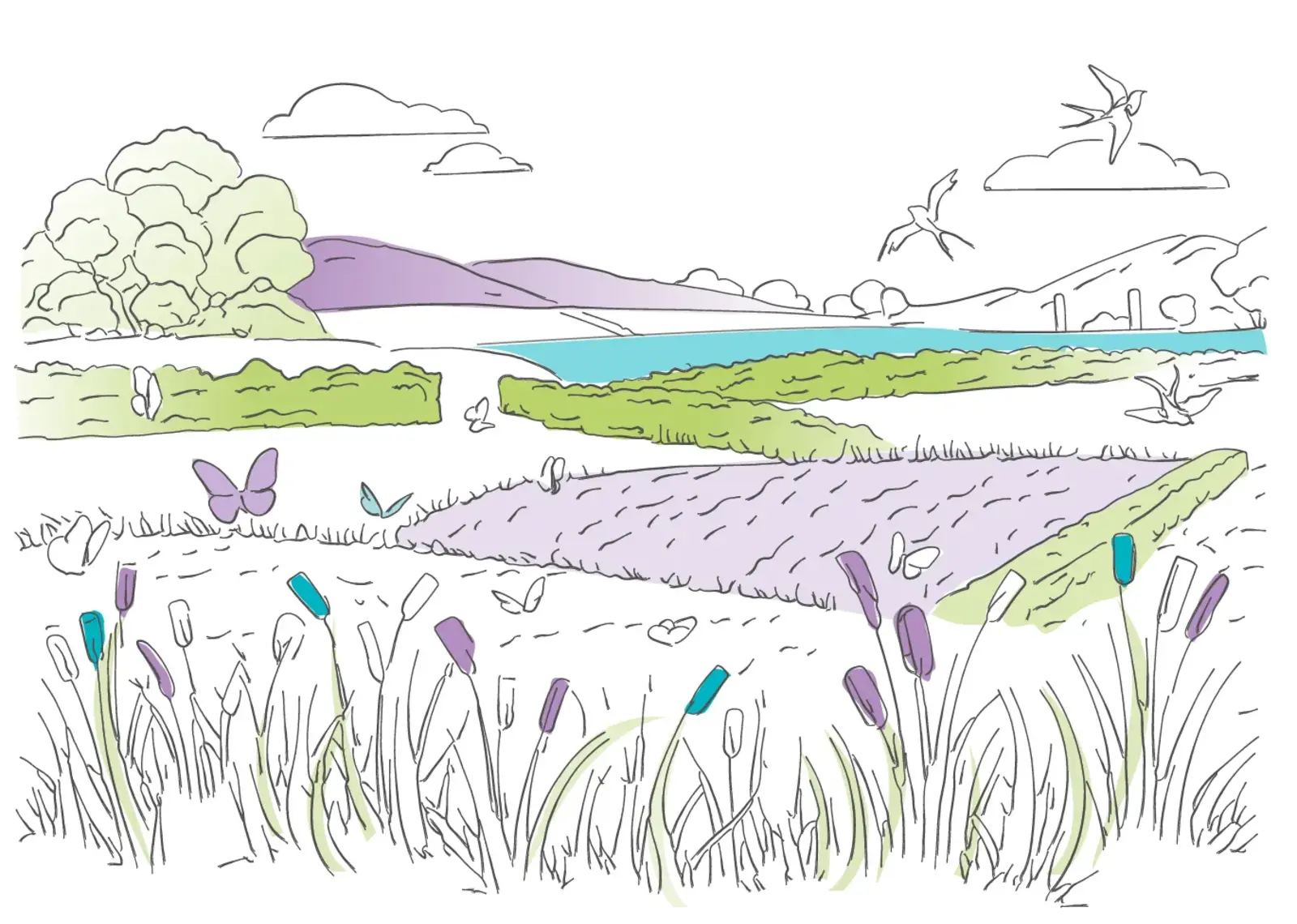 Climate Ready Tayside nature based solutions illustration
