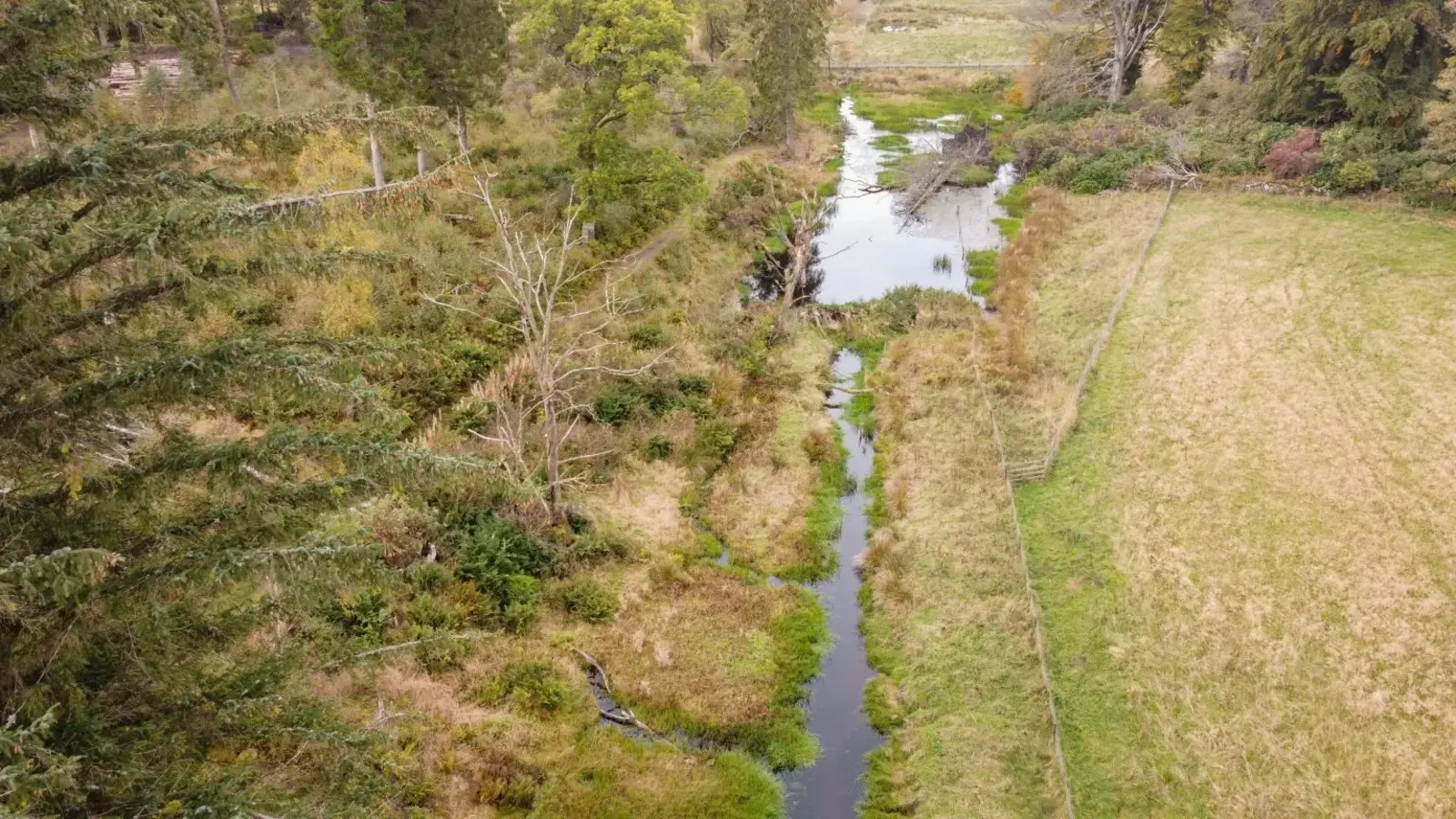 Braes of Alyth, Bamff Wildland