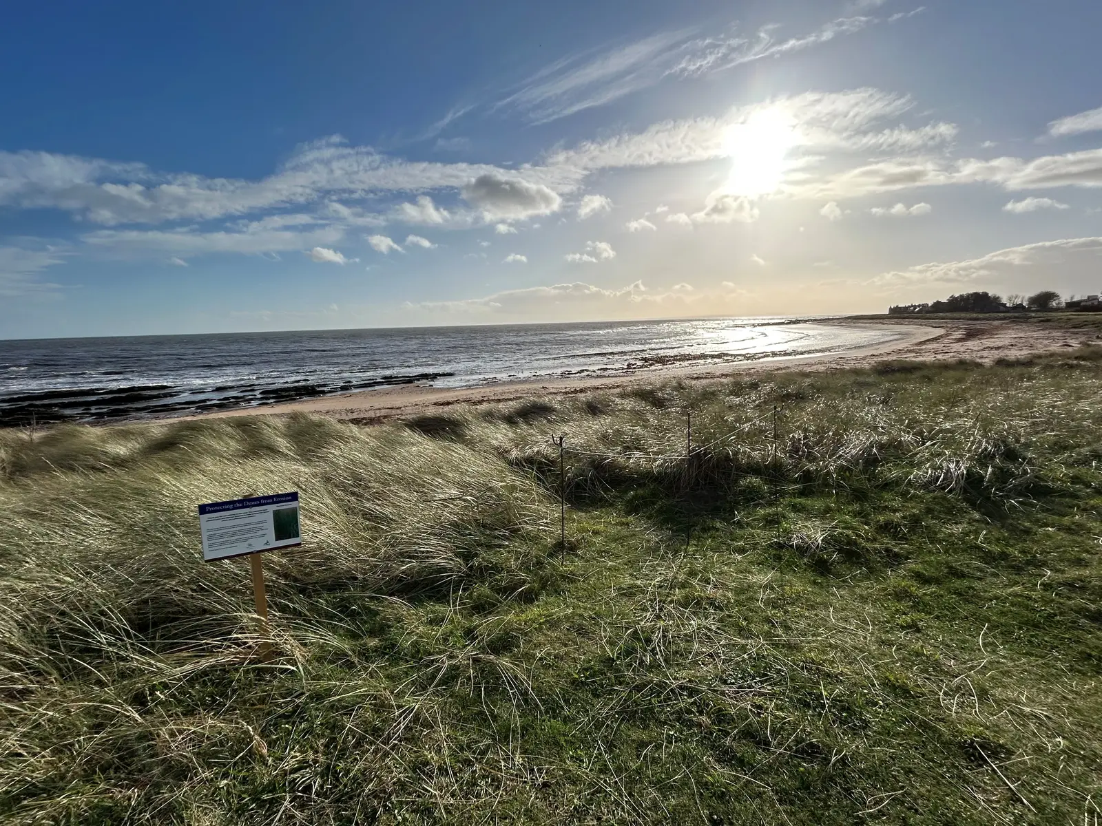 East Haven Sand Dunes